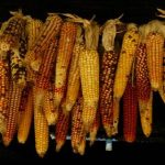 如何在乐天国际娱乐上获取更多游戏乐趣与奖励 0ck97gcd9