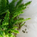 如何在w88中文平台注册并享受优惠活动 0r5k2