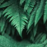 如何在久久娱乐平台上获取更多游戏乐趣与奖励 di2r55r