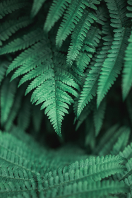 如何在久久娱乐平台上获取更多游戏乐趣与奖励 如何在久久娱乐平台上获取更多游戏乐趣与奖励