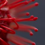 如何在AG电子娱乐中提升你的游戏技巧 gkywx9jsd8