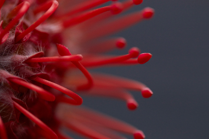 如何在AG电子娱乐中提升你的游戏技巧 如何在AG电子娱乐中提升你的游戏技巧