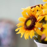 如何在ued体育官网上安全下注:新手必看的实用指南 p163hi