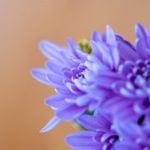 如何在ak体育官网上安全注册并享受优质游戏体验 qy0zue6