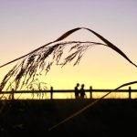 如何在万达娱乐平台上找到最受欢迎的影视作品 v6zfc