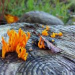 如何在hg0088.com上安全进行在线投注?实用指南分享 vzabv73f