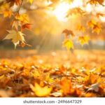 3d94期开奖结果最新公布,中奖号码全面揭晓 1cq76