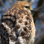 18137期足彩开奖结果最新公布:头奖花落谁家? 1n1b9g