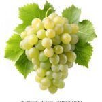 18134期足彩开奖公告最新发布:奖金详情与中奖号码全解析 1ov7c4a