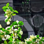 18107期任九开奖结果揭晓,百万大奖花落谁家? 32ocynekel