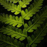 18133期体育彩票开奖结果最新公布与详细查询 7hshsn0