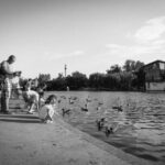 3dd开奖结果最新公布,今晚中奖号码全面揭晓 94e95xgvt