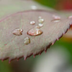 18115期体彩开奖结果公布最新号码揭晓 96t75w