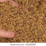 18135期胜负彩开奖结果最新公布与详细分析 bswexs