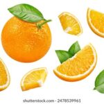 3d67期最新开奖结果查询与详细数据分析 dzfyc