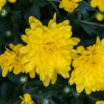 18134期大乐透开奖结果揭晓:幸运号码正式公布 l70ep