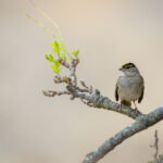 18146期开奖结果震撼揭晓,大奖花落谁家引关注 lzvks0